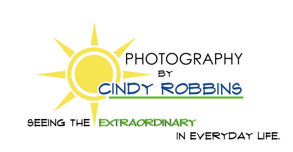 Cindy Robbins Photography