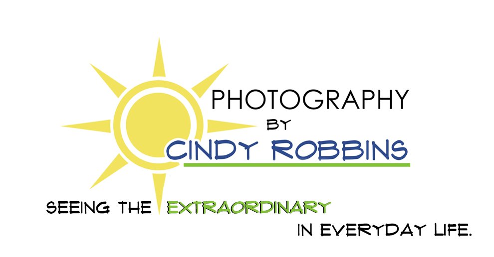 Cindy Robbins Photography