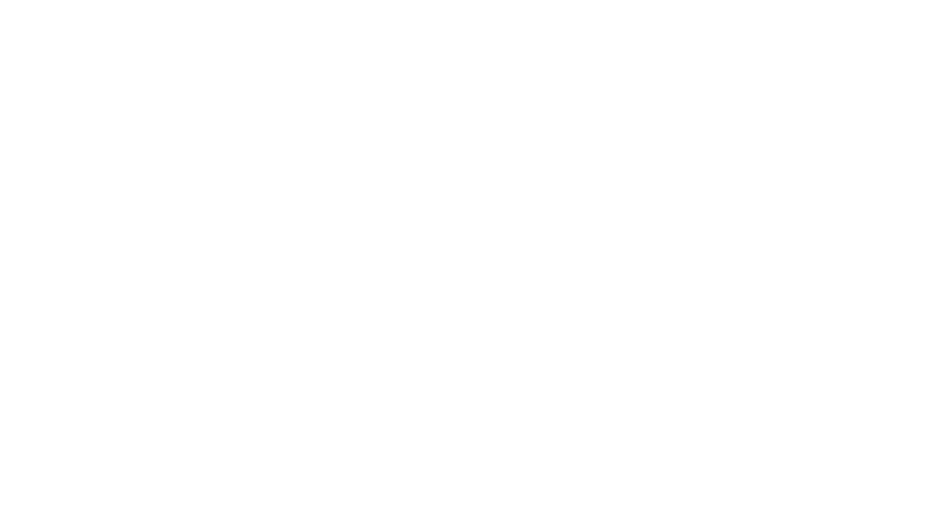 JANET THE PLANET