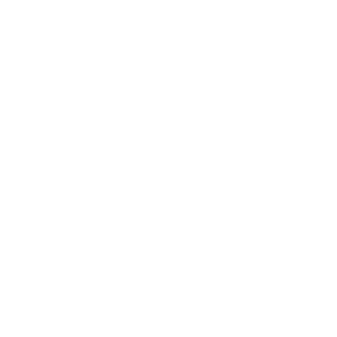 Flam boat rental