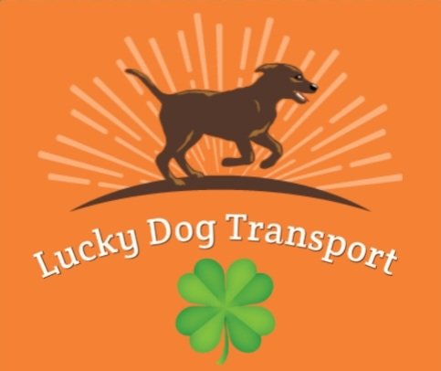 LuckyDogTransport