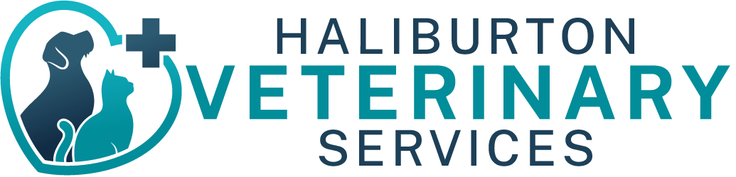 Haliburton Veterinary Services