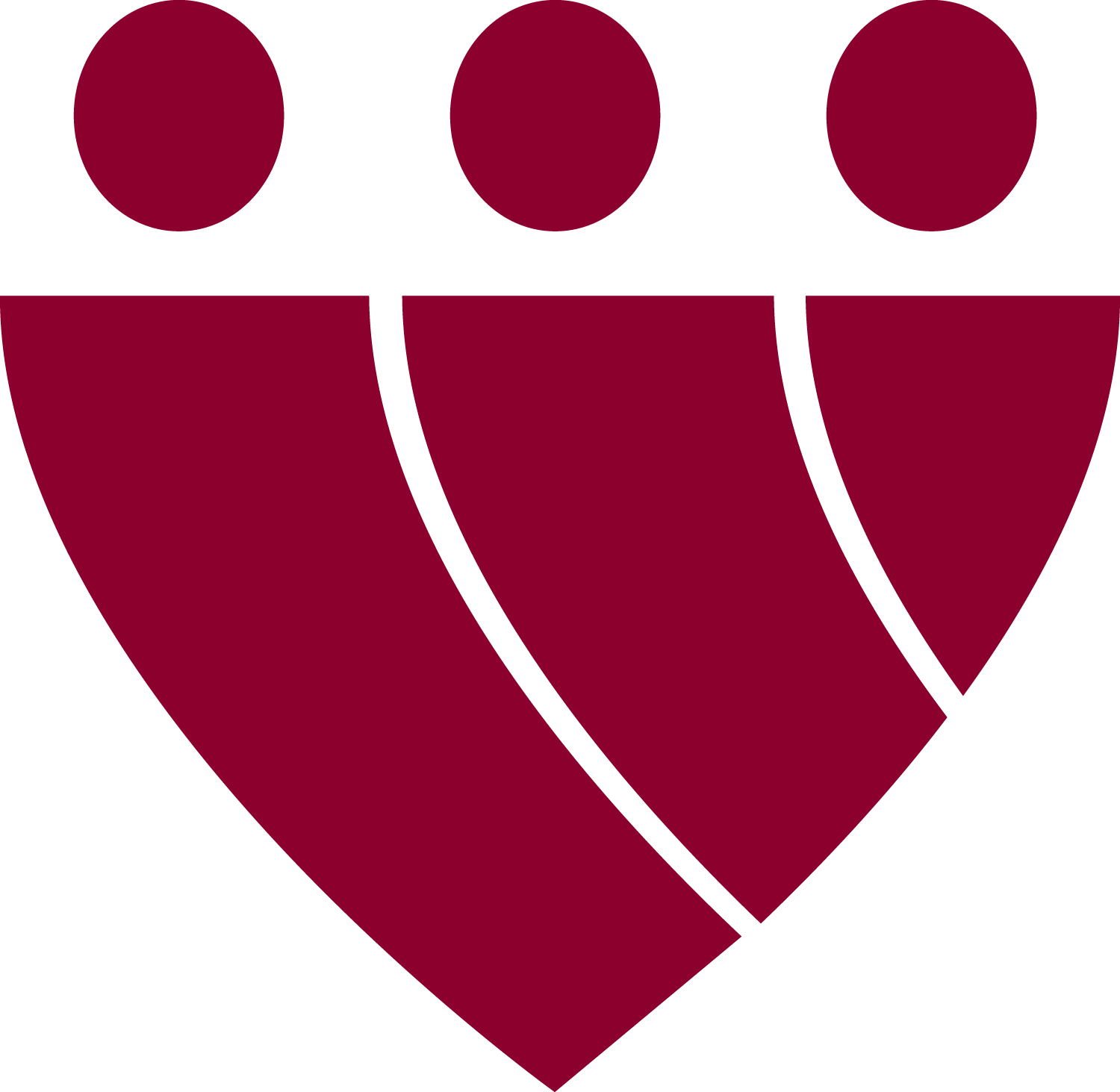 Coalition For Hispanic Family Services