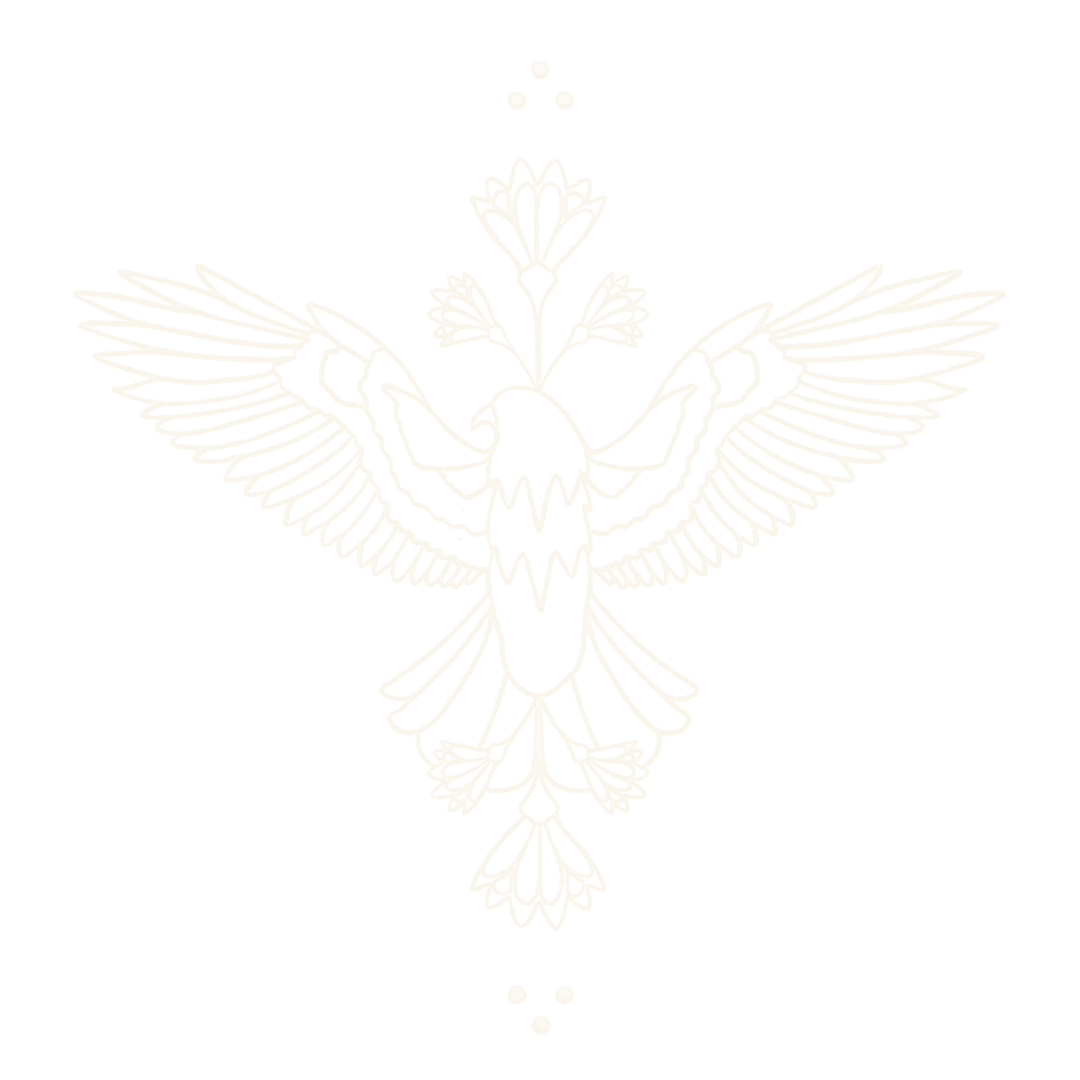 Sunhawk Collective