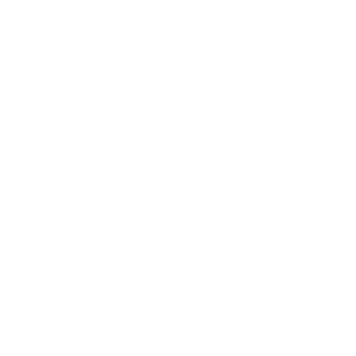 IRON VAULT