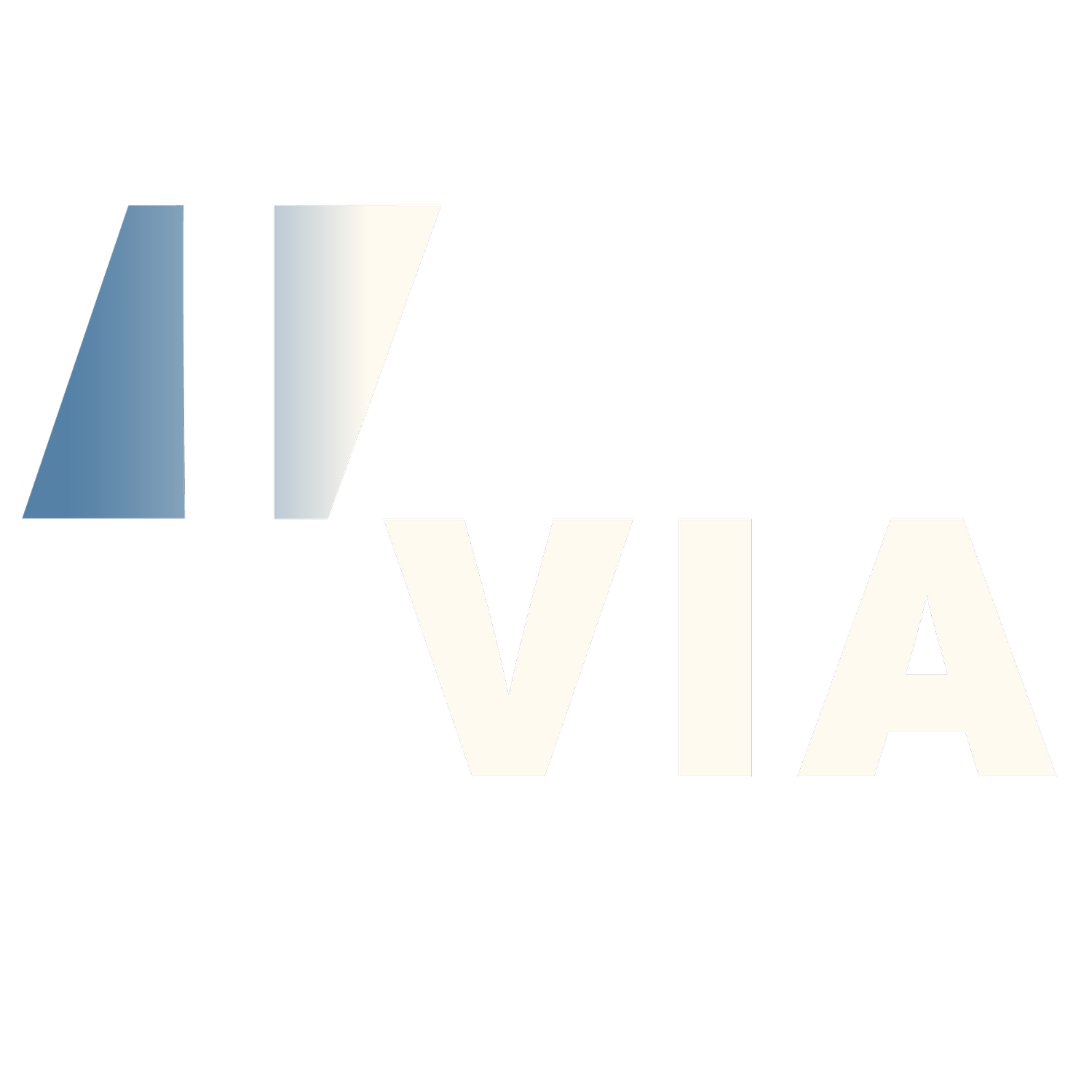 The VIA Company