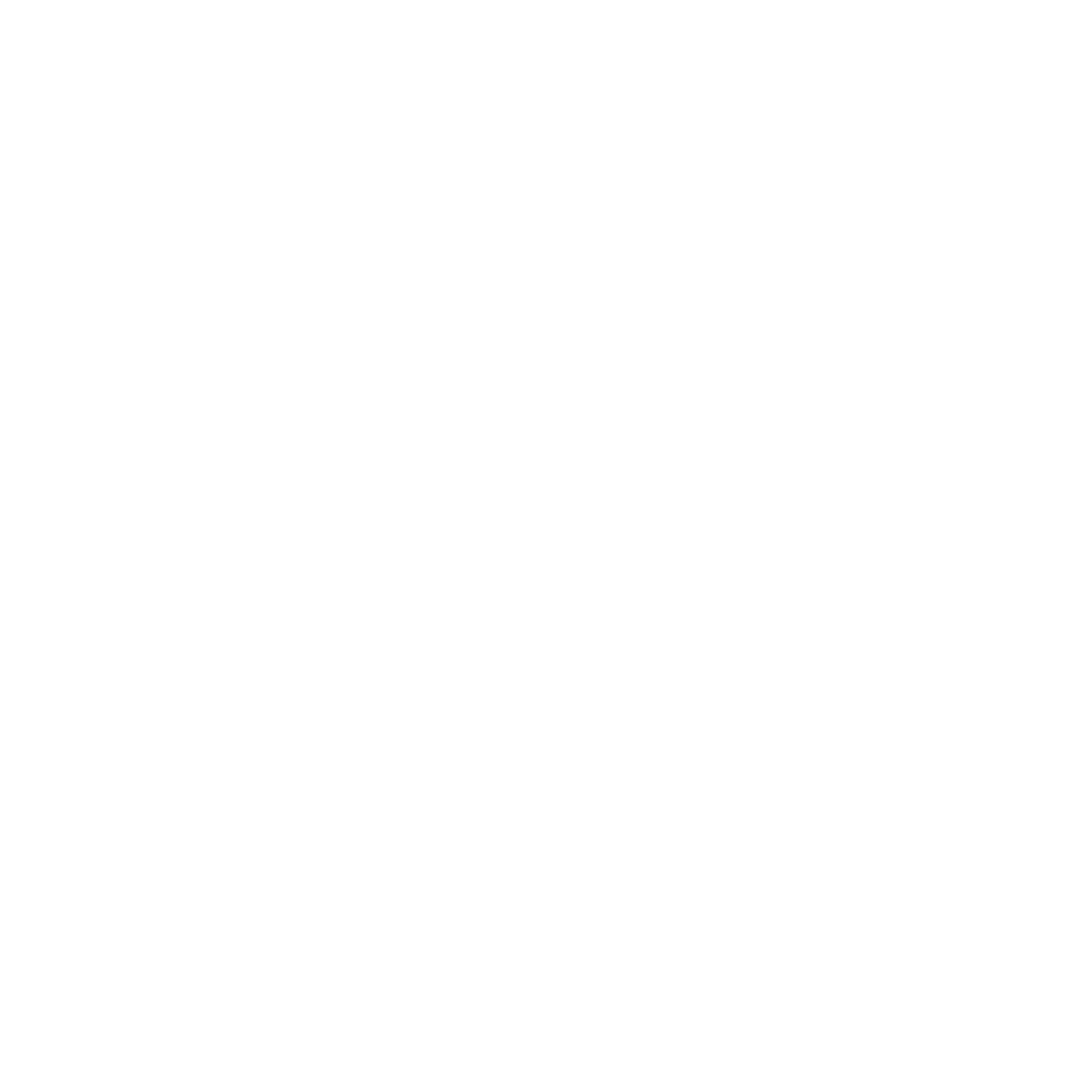 Dana Williams Group