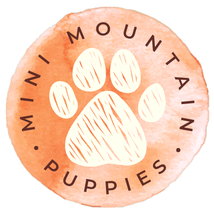 Mini Mountain Puppies LLC
