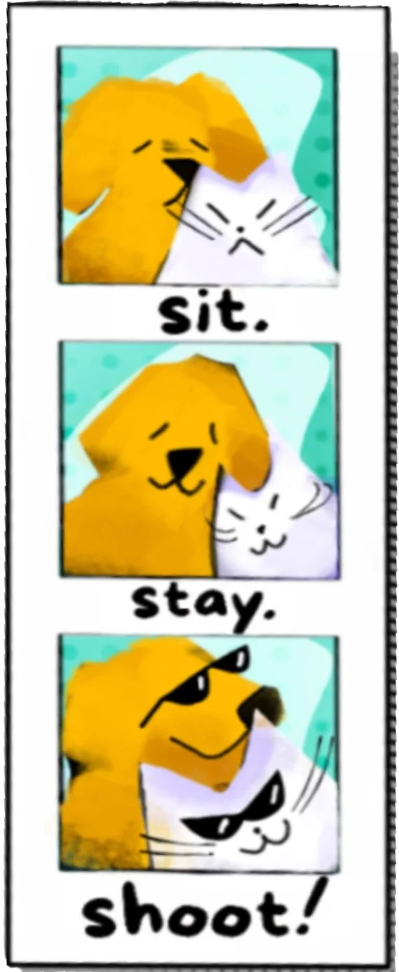 All Hale Photography