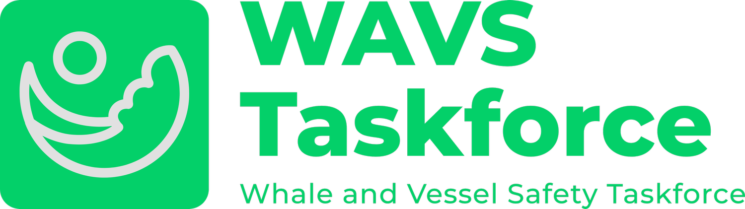 Whale and Vessel Safety Taskforce