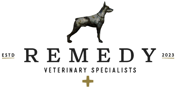 Remedy Veterinary Specialists