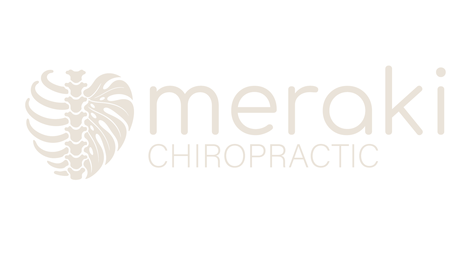 Meraki Chiropractic | Bilingual Chiropractor Indianapolis, IN