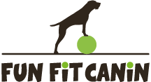 FunFitCanin  |  Boutique