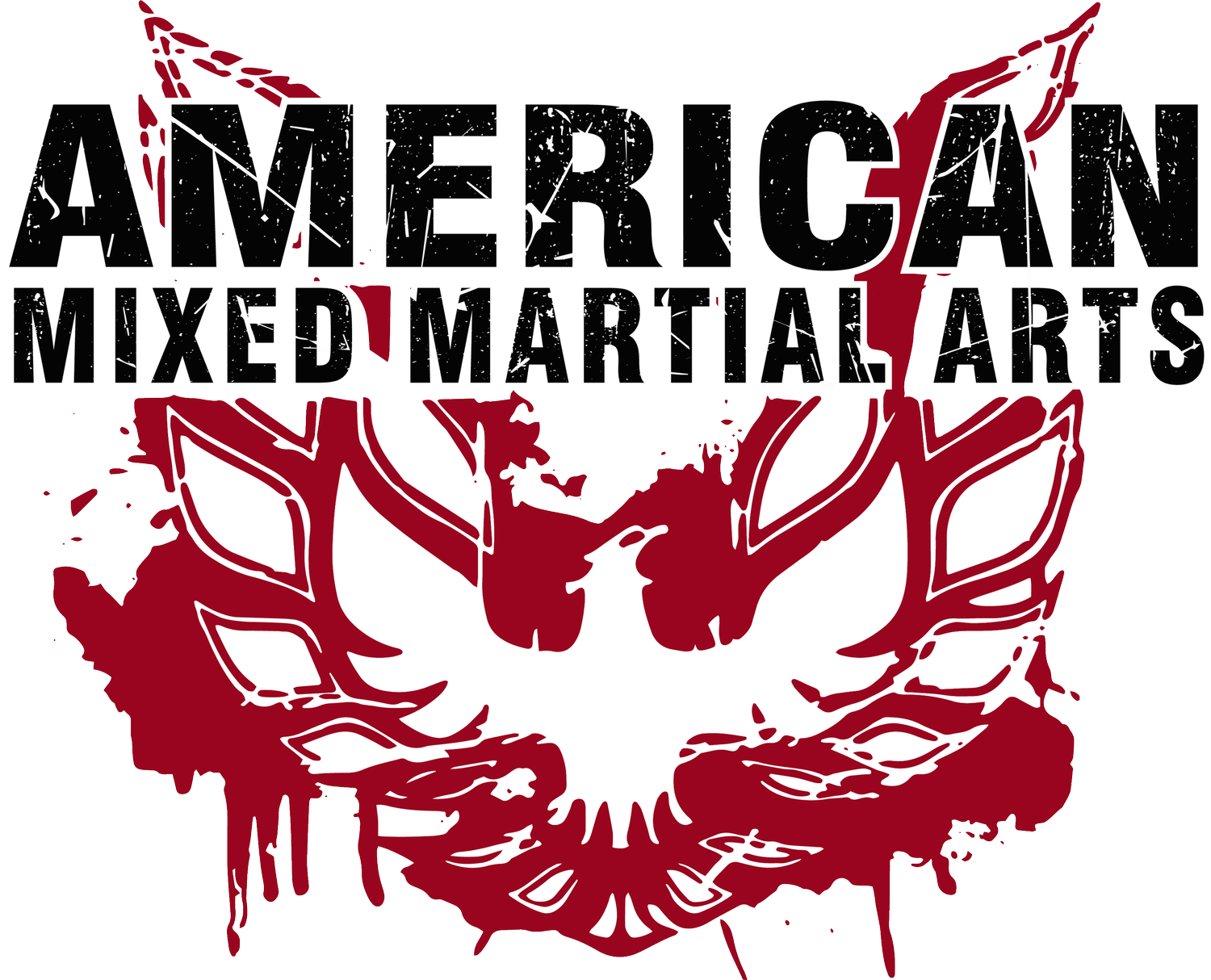 American Mixed Martial Arts