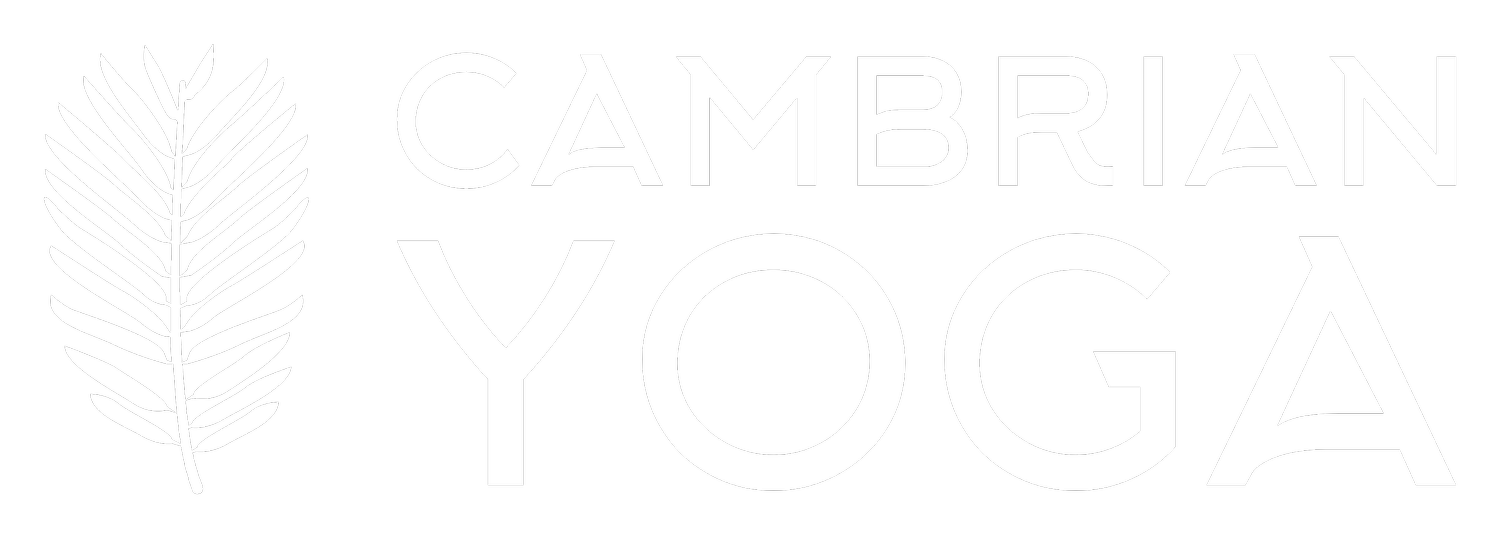 Cambrian Yoga 
