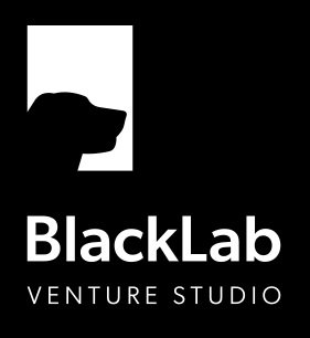 BlackLab Venture Studio (Copy)