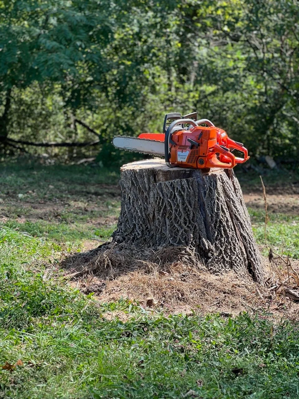 Wallburg Tree Service