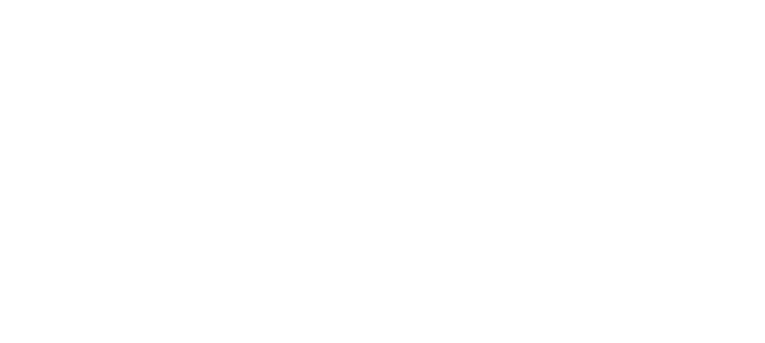 Steve Winter Handyman