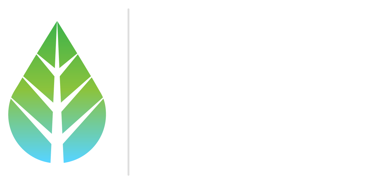Folium Capital