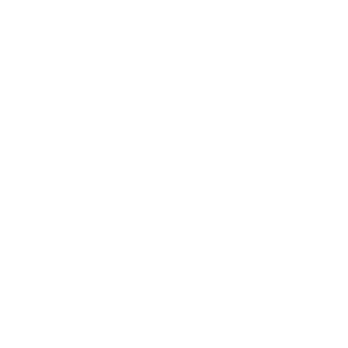 Elise Vanderbruggen