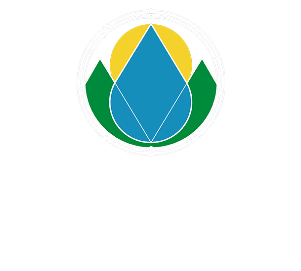 Sonder Mind and Body