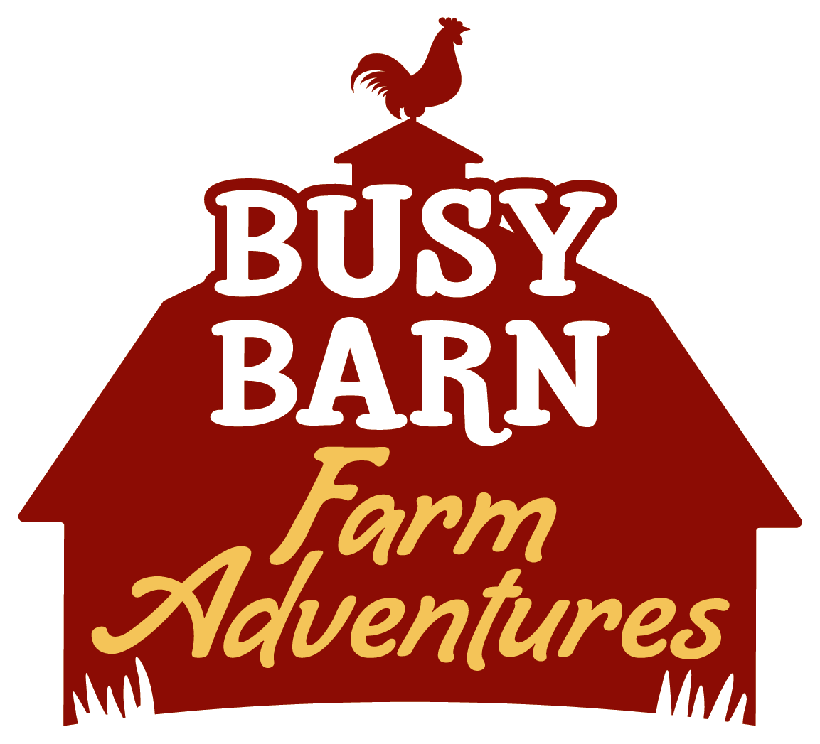 Busy Barn Farm Adventures