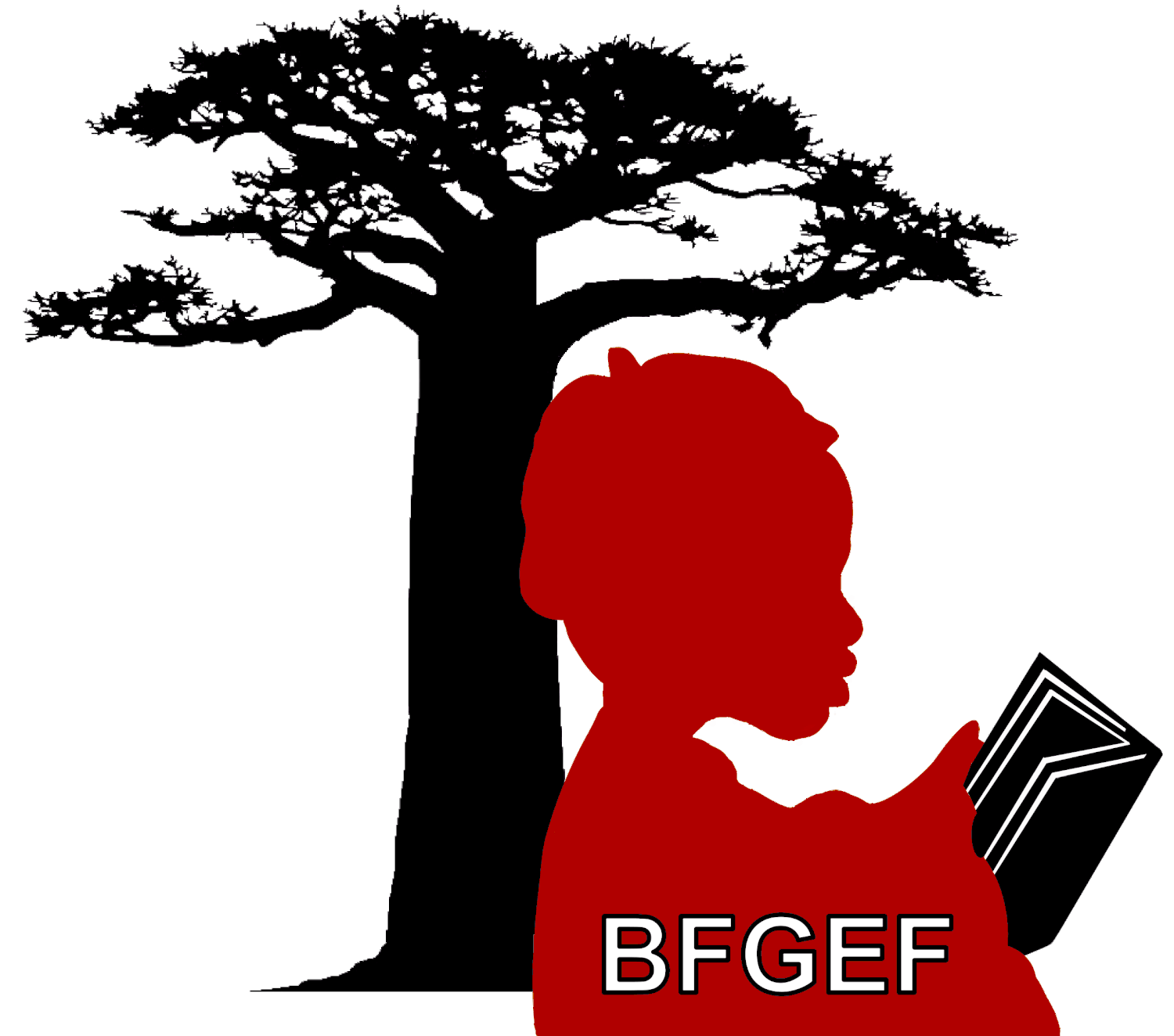 Burkina Faso Girls&#39; Education Fund