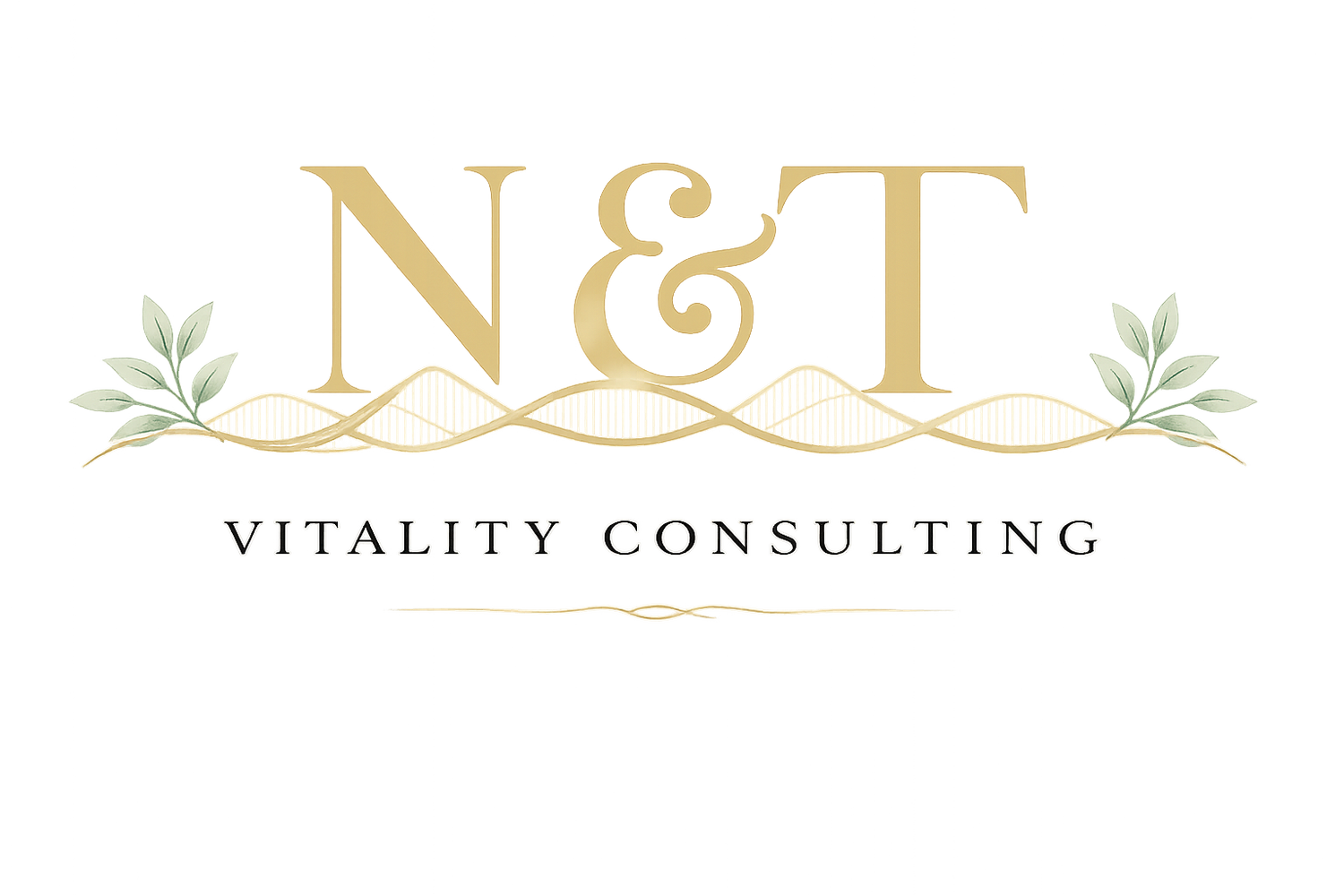 N&T Consulting