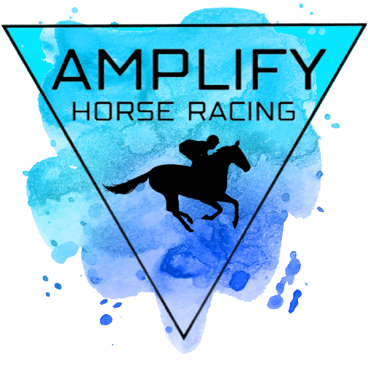 Amplify Horse Racing 