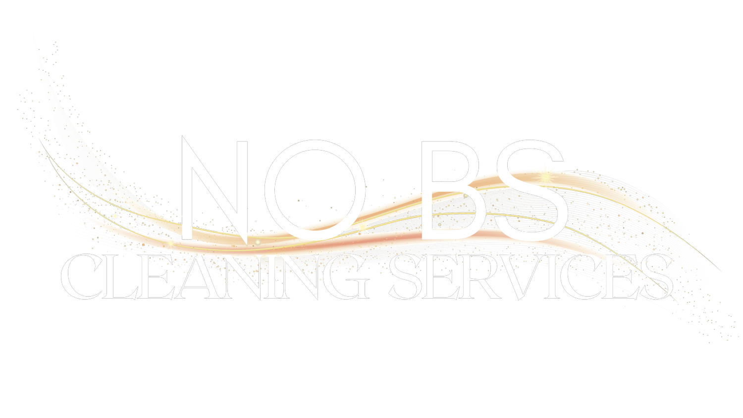 No BS Cleaning Services