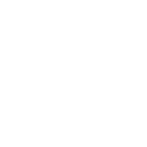 No BS Cleaning Services