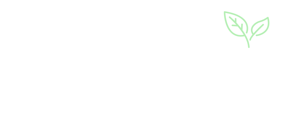 Photographic Connections