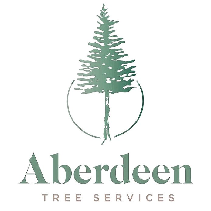 Aberdeen Tree 