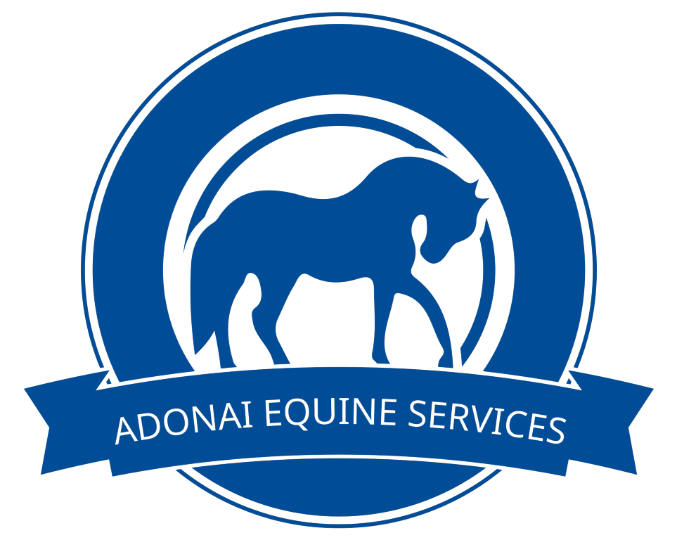 Adonai Equine Services