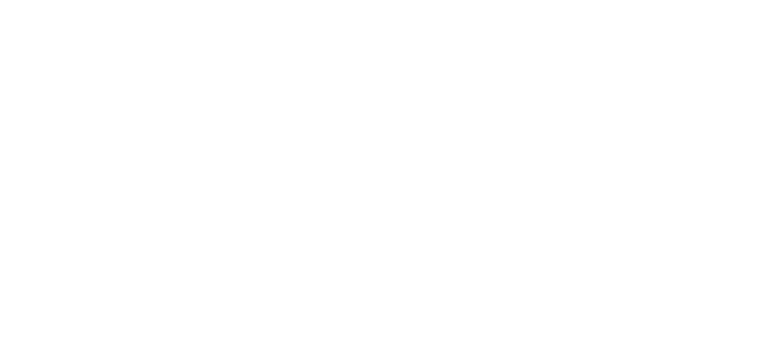 Handy Sandy, LLC