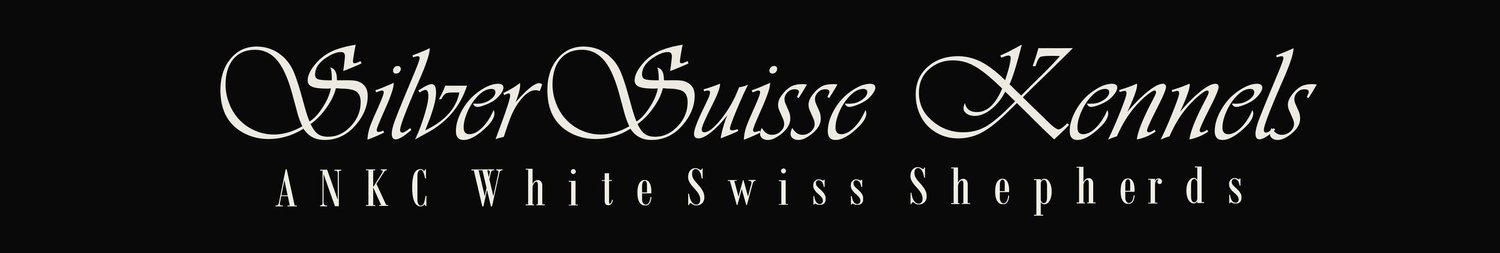 Silver Suisse Kennels