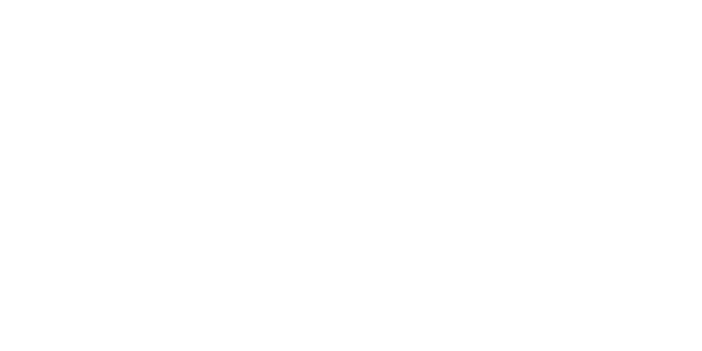 Simon Says Digital | Digital Advertising &amp; Marketing