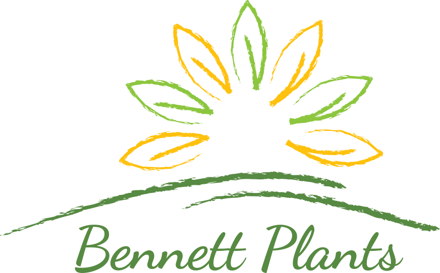 Bennett Plants