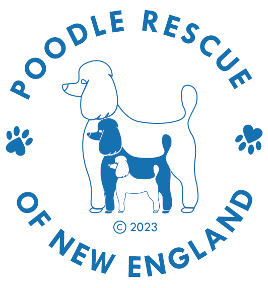 Poodle Rescue of New England