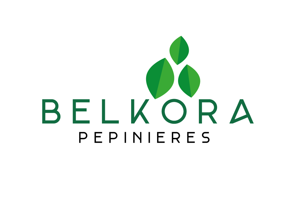 Pépinière Belkora