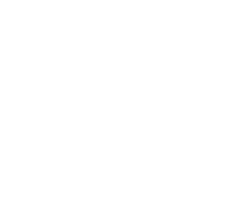 Global EV Connect