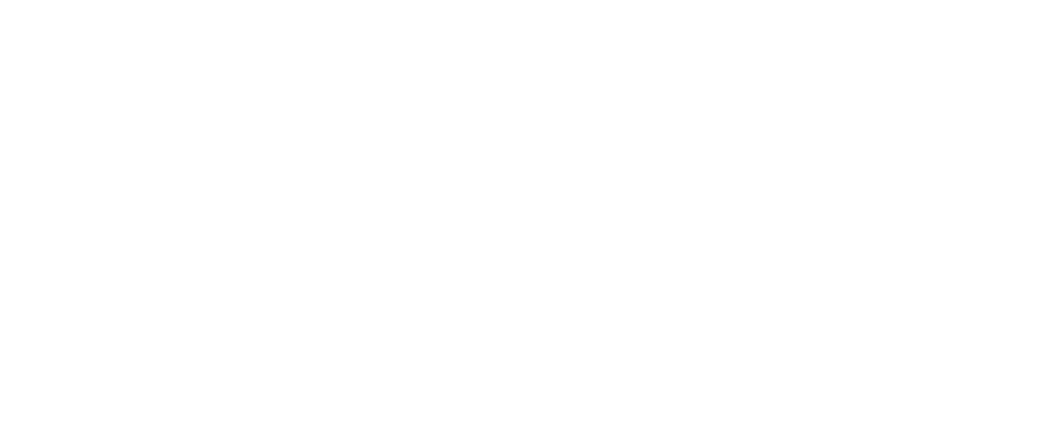 Pooch Palace VIP