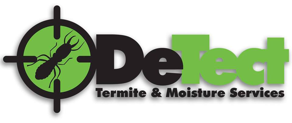 DeTect Termite