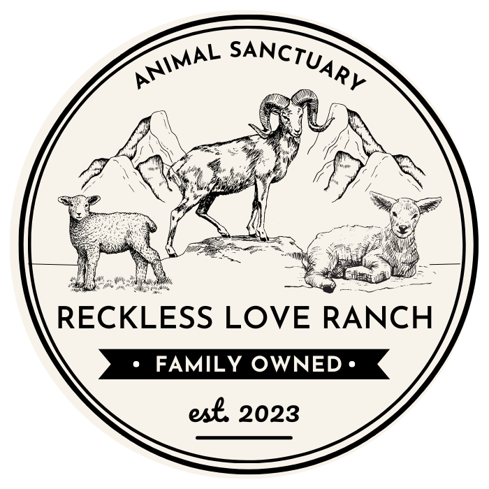 MENDOZA'S RANCH