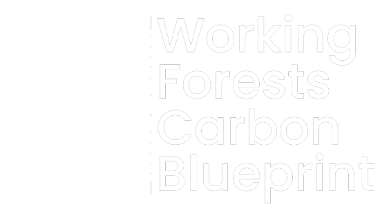 Working Forests Carbon Blueprint
