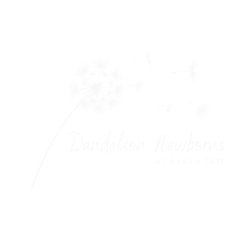 Dandelion-Newborns