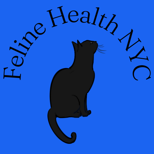 Feline Health NYC