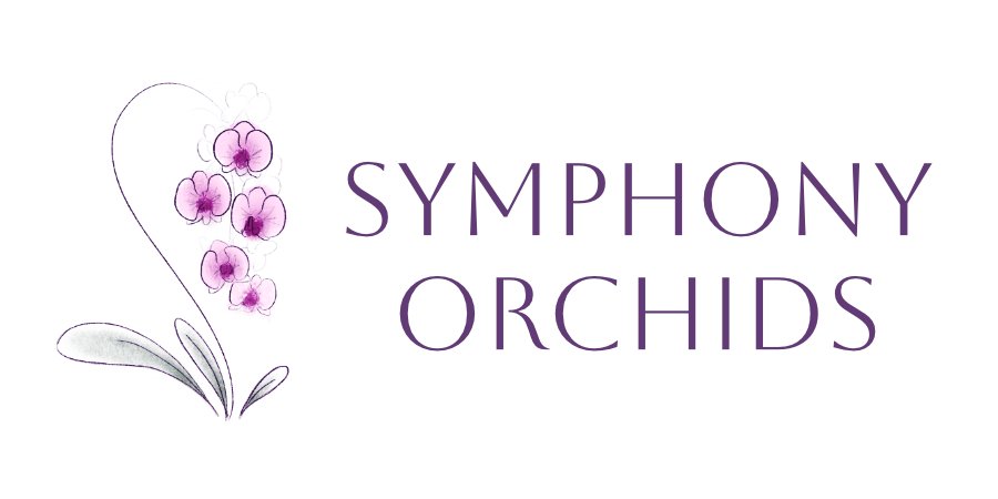 Symphony Orchids