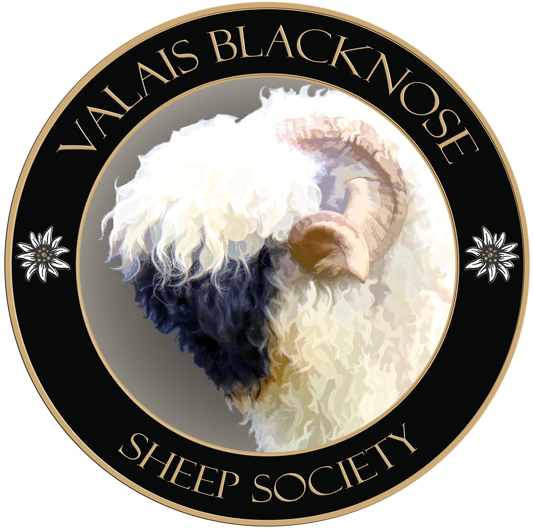 Valais Blacknose Sheep Society