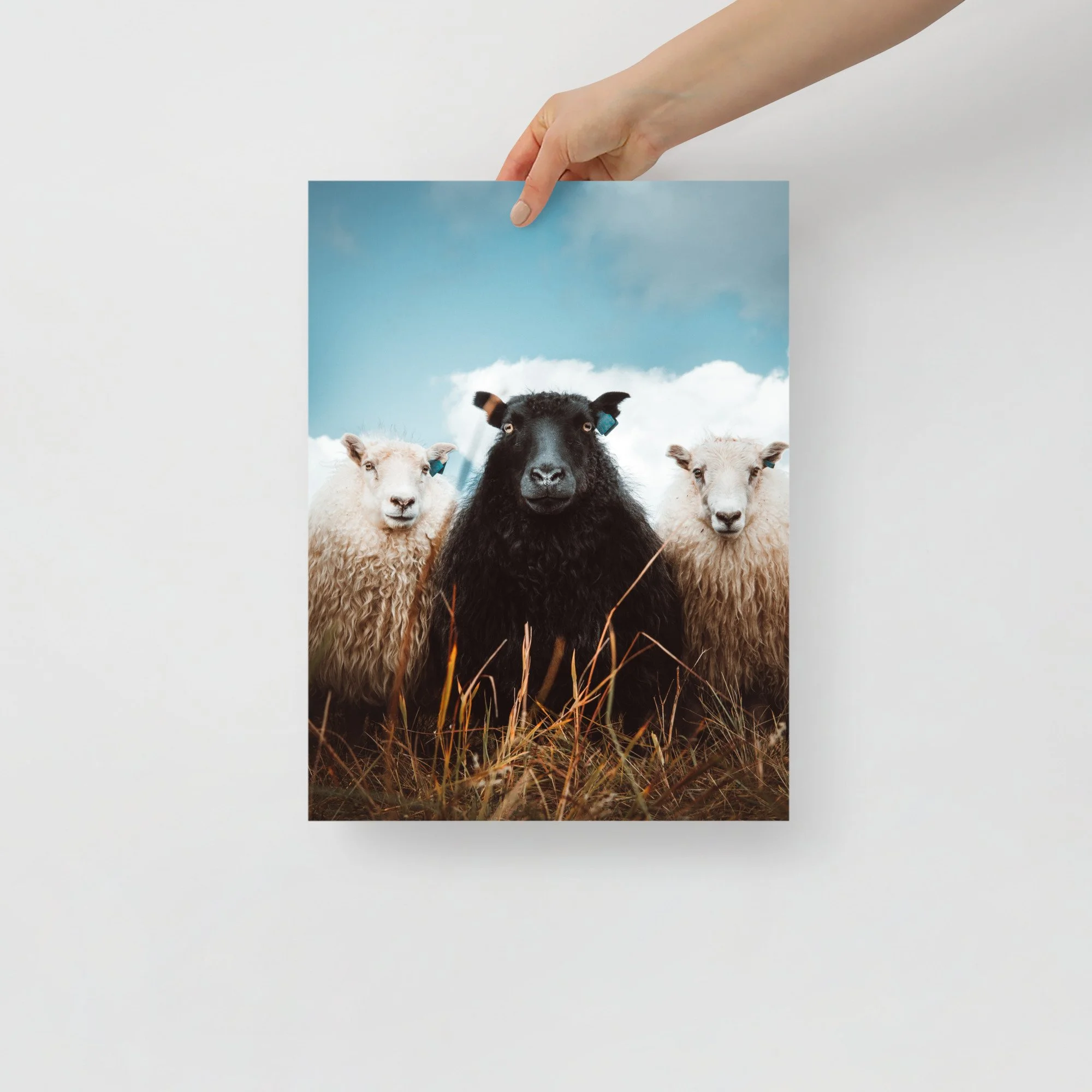 特撮 Sheep enhanced-matte-paper-poster-(